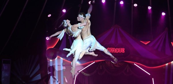 Bakıda “The World of Adrenaline” beynəlxalq sirk proqramı təqdim olunub