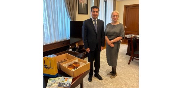 İsveç səfiri Hikmət Hacıyevlə görüşdü