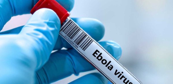 Nigeriyada Ebolaya ilk yoluxma qeydə alınıb