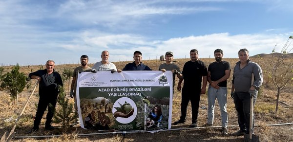 “Yaşıl Qarabağ” azad olunmuş ərazilərdə 500-dən çox ağac əkib - FOTOLAR
