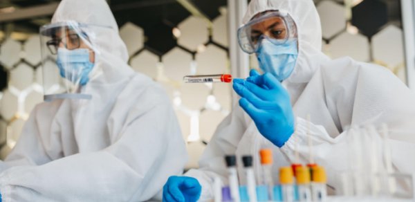 Fransada Şamonda virusuna ilk dəfə insanda rast gəlinib, xəstə ölüb