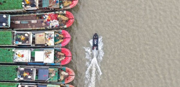 “Çampi” qasırğasından zərər çəkənlərin sayı açıqlandı