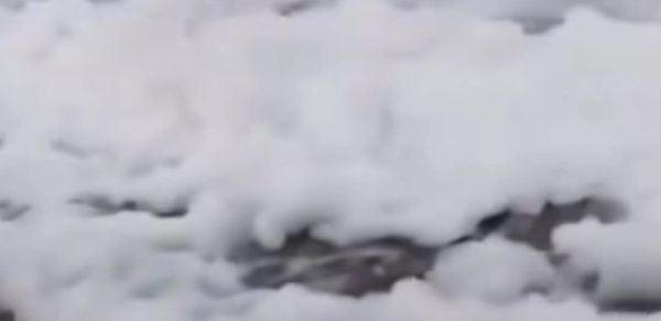 Xəzərin suyunda naməlum köpüklənmə ilə bağlı açıqlama