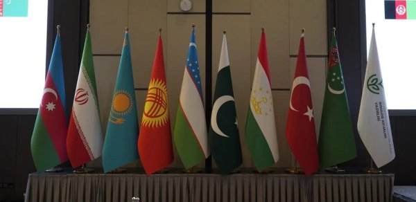 Azərbaycan ECOSA-nın Daşkənddə keçirilən sammitinə qatılıb