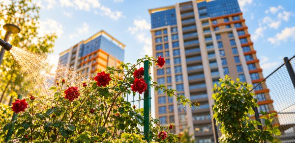 City Garden Narimanov-da təməldən mənzillər FAİZSİZ kreditlə satışda!