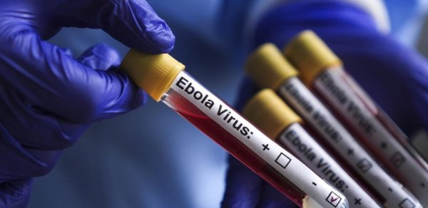 Ebolaya yoluxanların yarısı ölüb - ÜST-dən həyəcan təbili