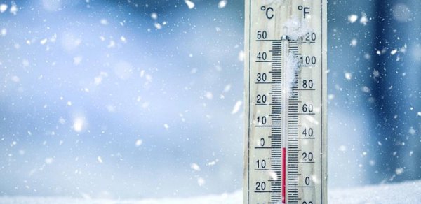 Alimlər soyuq temperaturun ömrü uzatmağa kömək edə biləcəyini müəyyənləşdiriblər