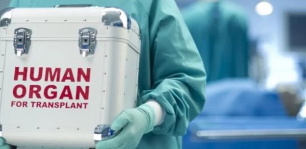 Ürək transplantasiyasının icbari tibbi sığorta hesabına icra edilməsi təklif olunub