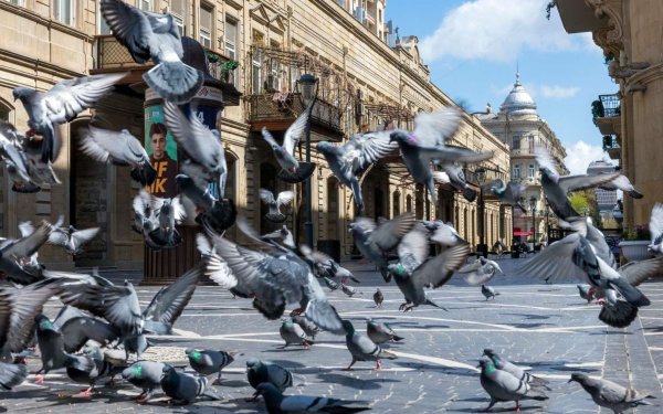 Sabah hava necə olacaq?