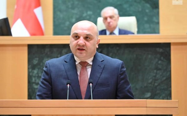 Gürcüstanda əcnəbi tələbələrə qarşı qaydalar sərtləşdirilir