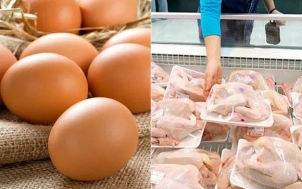 Azərbaycanda quş əti və yumurta istehsalı artıb