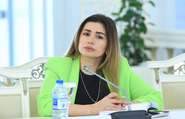 “Sosial reinteqrasiya üçün strateji dönüş”