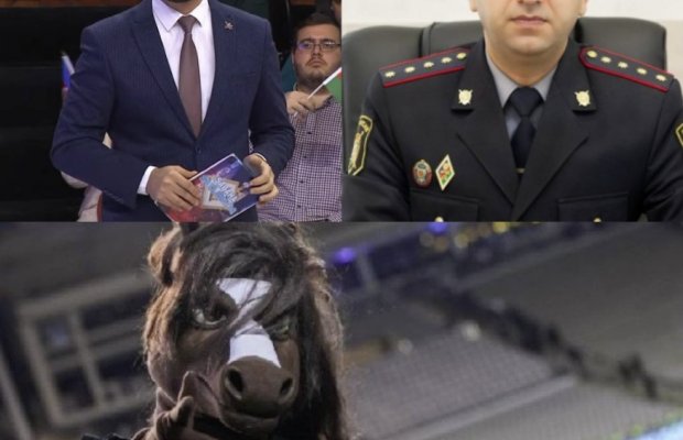 Azərbaycanda idman polisi yaradılmalıdır? - "Qarabağ"ın maskotu "Kəhər" müzakirə yaratdı
