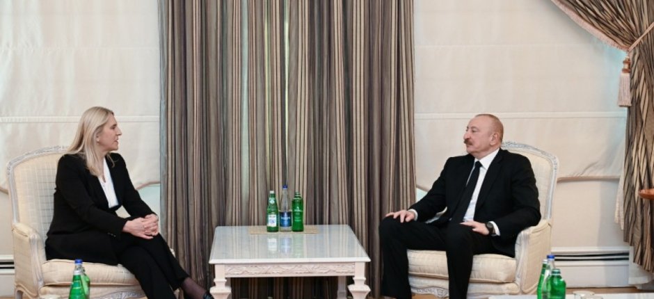 Prezident Bosniya və Herseqovina Rəyasət Heyətinin üzvü ilə görüşdü