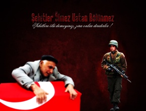 Türkiyə yasda: 1 gündə 26 şəhid
