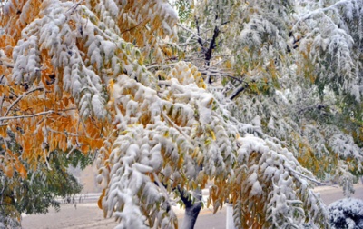 Birinci qar, birinci qar (FOTOSESSİYA)