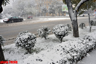 Diqqət! Bəzi rayonlara gedən yollar buz bağladı