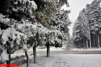 Yenə donacağıq:Temperatur mənfi 8 dərəcəyə enəcək