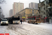 Avtobusların normal iş qrafiki bərpa oluna bilər