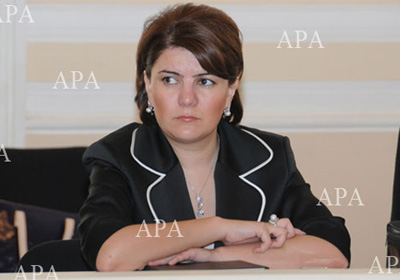 Avropalı jurnalistlər Vüsalə Mahirqızı ilə görüşüblər