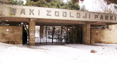 Bakı zooparkına yeni heyvan gətirilir
