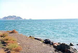 Daha iki nəfər suda boğuldu