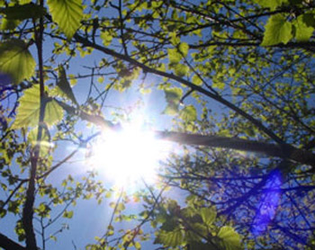 Azərbaycanda havanın temperaturu yüksələcək