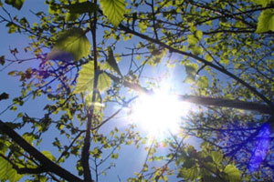 Sabah ölkə ərazisində havanın temperaturu 34 dərəcəyə yüksələcək