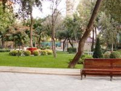 Bakıda 77 yaşlı alim parkda öldü