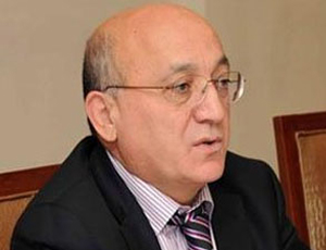 Mübariz Qurbanlı qanunsuz aksiyalara görə cərimələri dəstəklədi