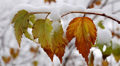 Bakıda havanın temperaturu 0 dərəcəyə enəcək