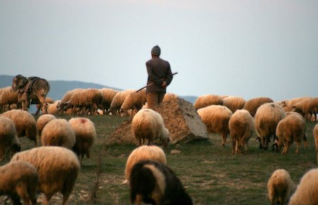 Azərbaycanda dəhşətli cinayət: Çoban oğlanın başını kəsdi, qızın 