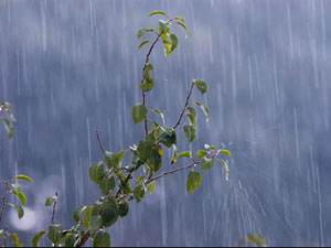 Azərbaycan ərazisində hava kəskin soyuyacaq