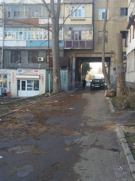 Bakının 