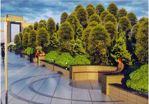 Bakıda Mayamini xatırladan park qurulur -  FOTOLAR 