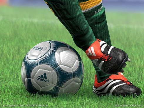 Futbolda süpriz "qonaq" - VİDEO