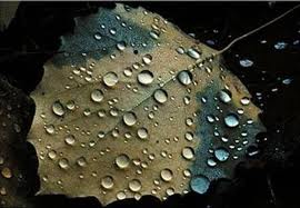 Sabah hava necə olacaq?