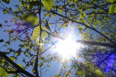Temperatur 33 dərəcəyə yüksələcək