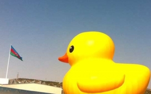 “Rezin ördəy”i Bakıda görmək istəyənlərə bəd xəbər