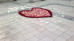 Bakıda möhtəşəm sevgi etirafı -FOTOLAR 