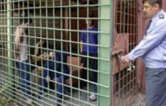Ruslarla azərbaycanlılar arasında qanlı dava: 1 ölü, 5 yaralı