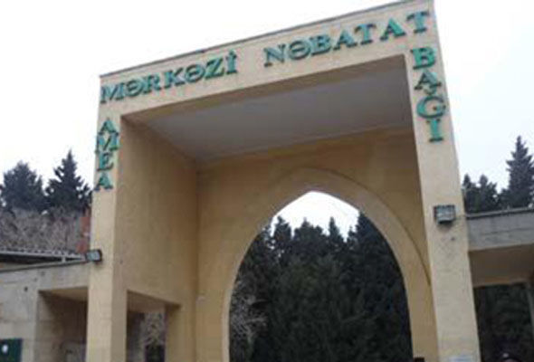 Botanika bağının direktoru işdən çıxarıldı