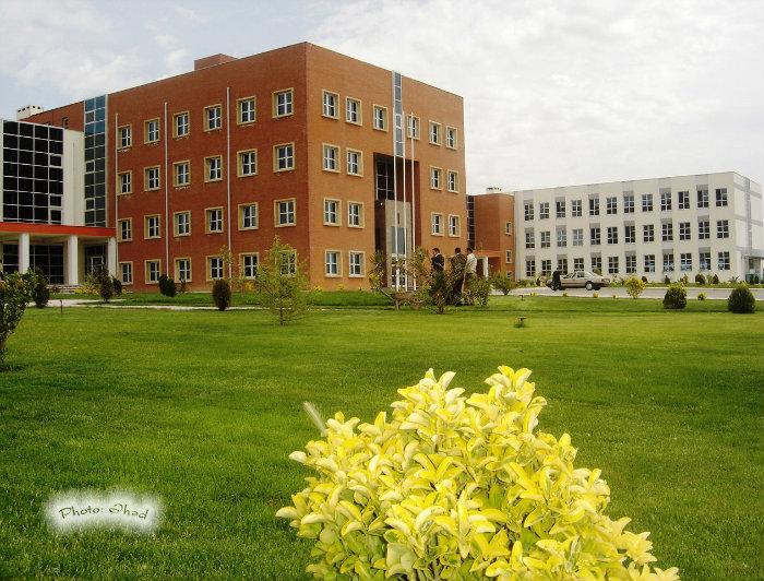Bu ildən Qafqaz Universitetinə qəbul dayandırılacaq