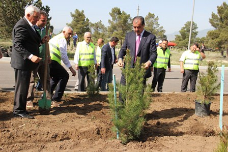 Elmar Vəliyev Gəncədə 91 mininci ağacı əkdi