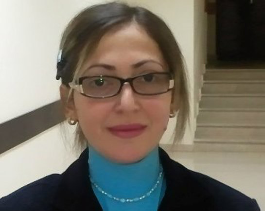 Bakıda telejurnalisti maşın vurdu
