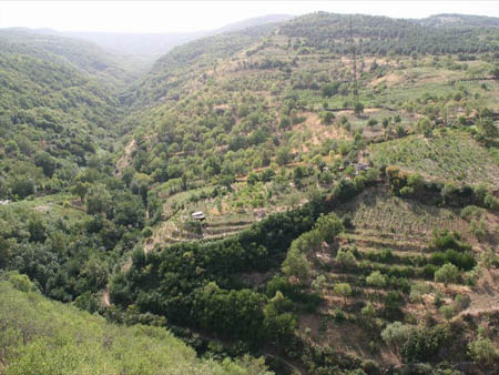 Dağıstan Azərbaycanla sərhəd rayonlarda fəaliyyətini gücləndirir