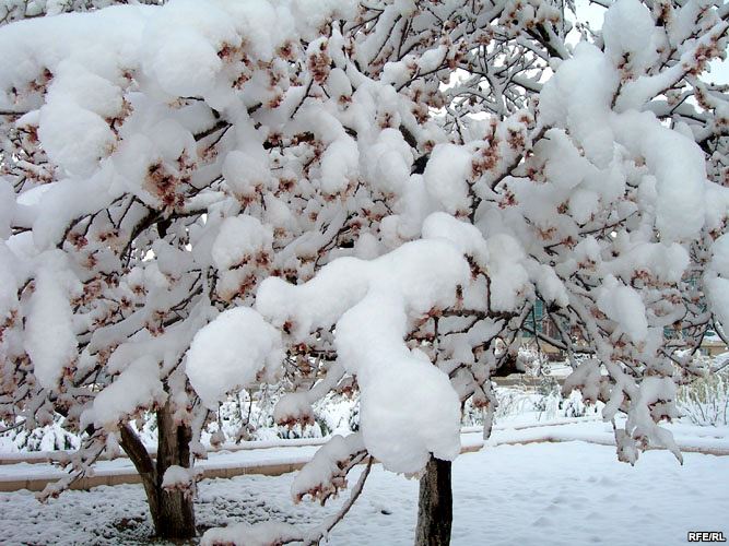Qar gəlir –  Hava proqnozu 