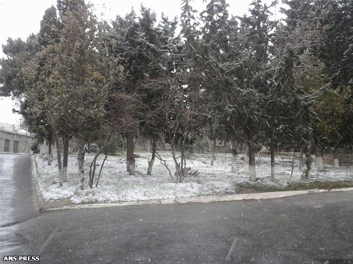 Bakıya qar yağır - FOTOLAR