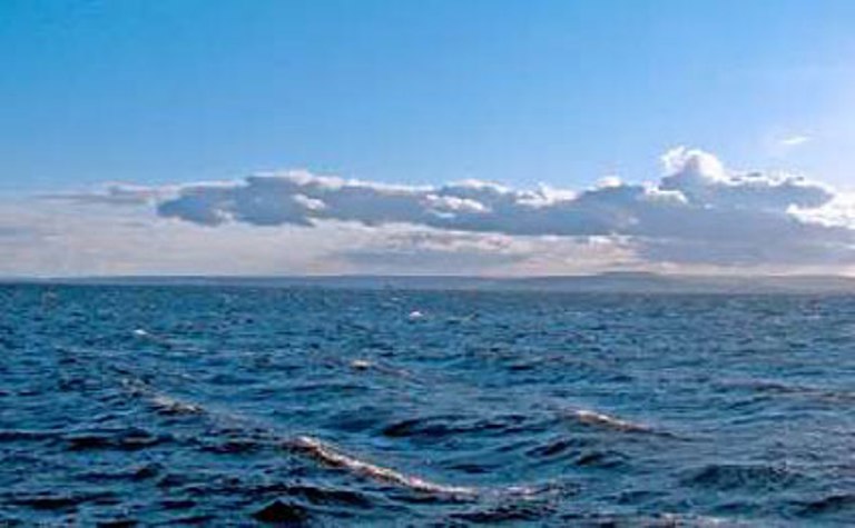 Bir nəfər özünü dənizə atdı