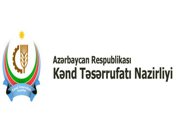 İtlərin yandırılması ilə bağlı nazirlikdən – AÇIQLAMA